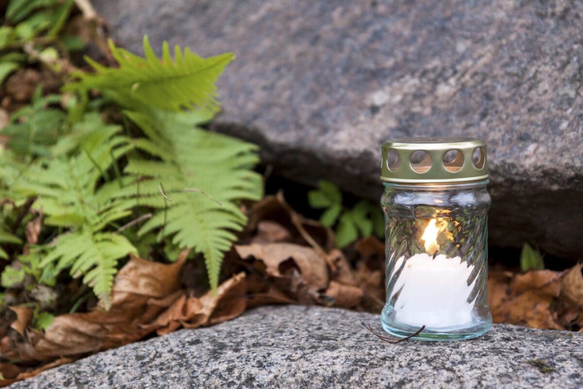 A lit candle in a glass holder sits on a rock near green fern leaves and dry brown leaves.