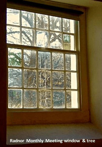 Vintage window overlooking a tree at the radnor monthly meeting.